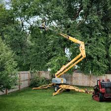 Best Artificial Turf Installation  in Robins Af, GA